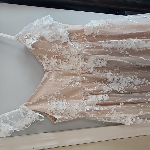 NWT Ivory Floral Embroidered Mesh Maternity Evening Gown - Picture 7 of 9